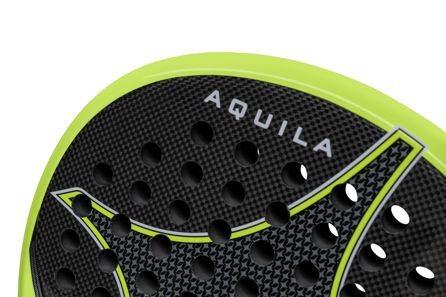 Aquila